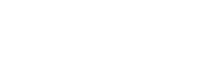 BSM Logo